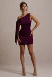 Ilythia Plum Asymmetric Mini Dress With Tie Sleeve