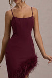 High Status Burgundy Strappy Corset Asymmetric Maxi Dress With Feather Trim