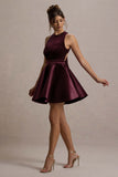 Mackie Port Velvet Sleeveless Skater Mini Dress