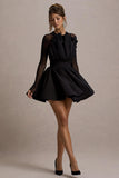 Jeri Black Mesh Long-Sleeve Ruffled Mini Dress